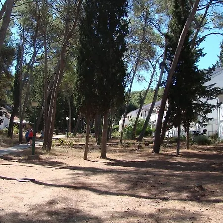 Rosana Apartment Necujam