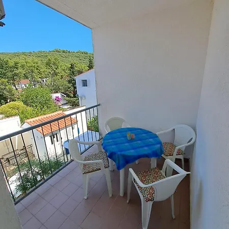 Apartment Rosana Necujam